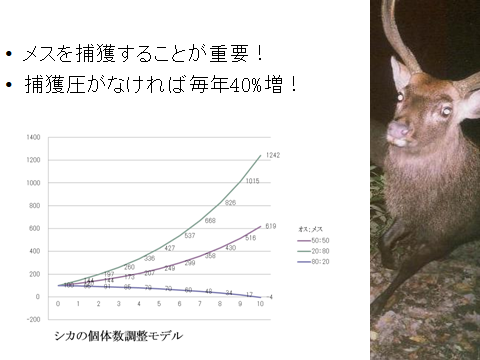 講習会用教材、くくりわなの設置方法のDVDなどの各種教材