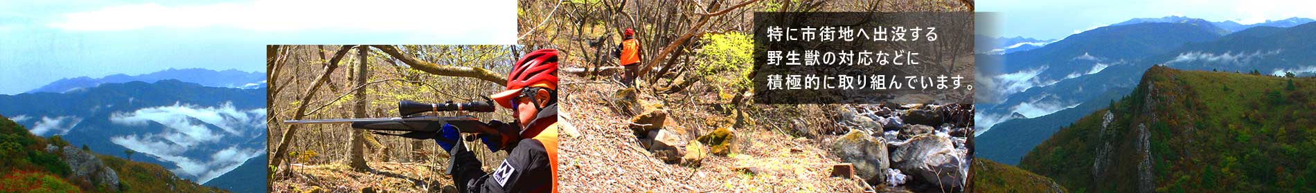 市街地へ出没する野生獣の対応