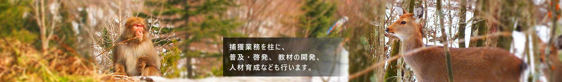 捕獲業務を柱に、普及・啓発、教材の開発、人材育成